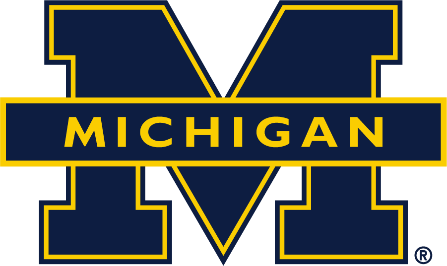 Michigan Wolverines 1994-2016 Alternate Logo diy DTF decal sticker